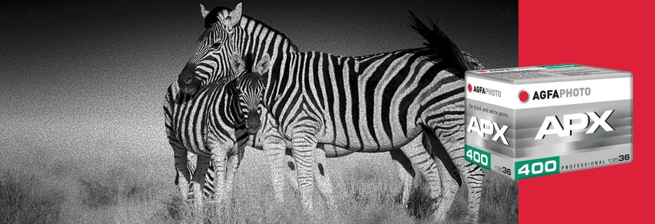 Film photography : how to use it correctly ?