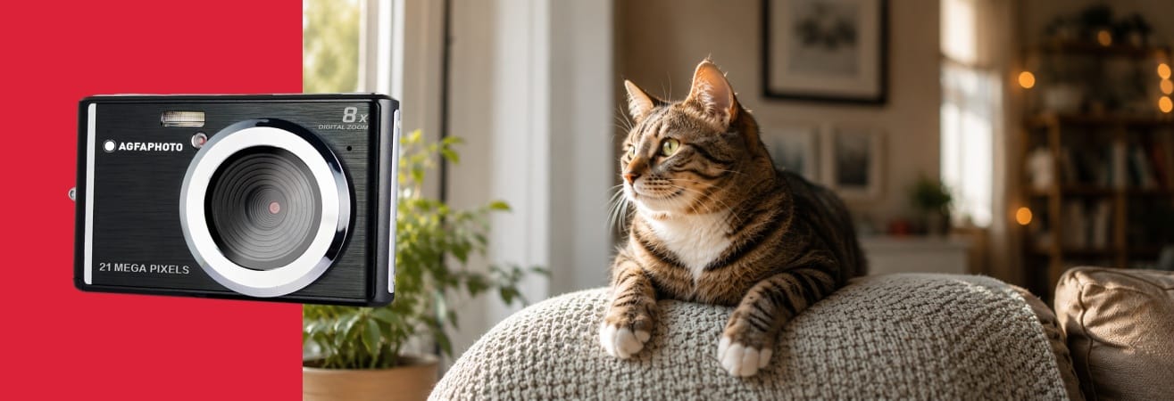 Comment photographier ses animaux de compagnie à la maison sans les effrayer ?